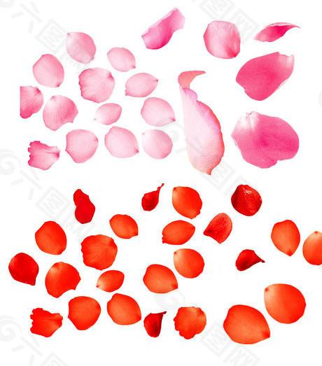 靠谱的前十大配资炒股公司 科创板新增受理1家未盈利企业IPO申请，有何信号？